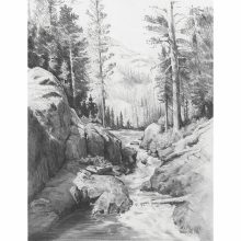 Skiccrajz grafikai rajzkészlet - Erdő