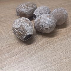 Termés csomag- Bell gum - havas