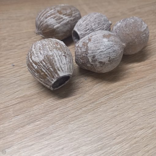 Termés csomag- Bell gum - havas