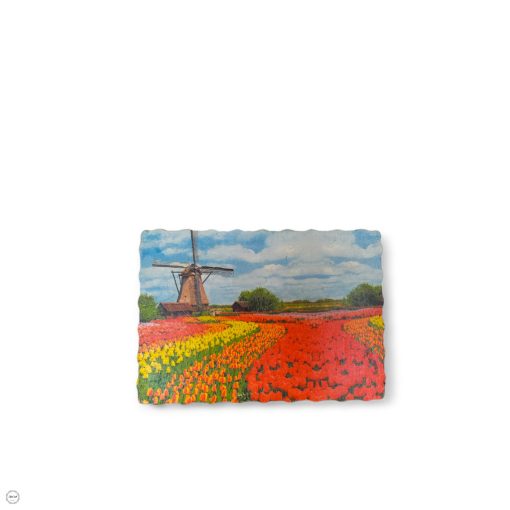Tulipánmező faképeslapon