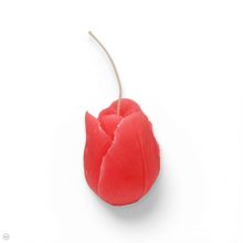 Tulipán formájú gyertya