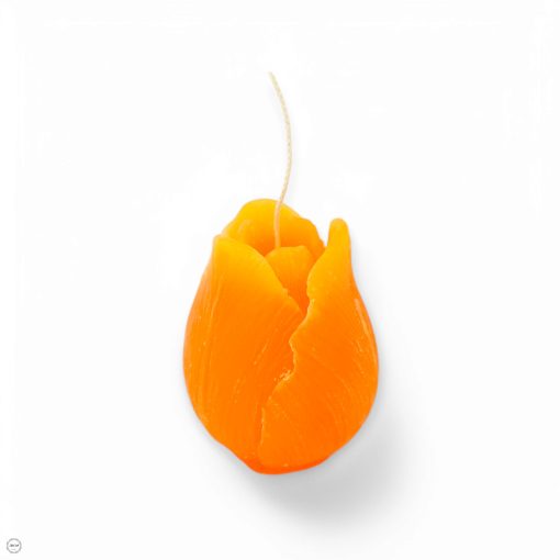 Tulipán formájú gyertya
