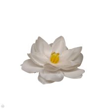 Lótusz virágfej - fehér