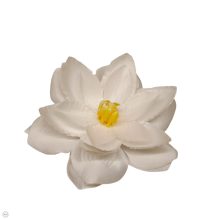 Lótusz virágfej - fehér