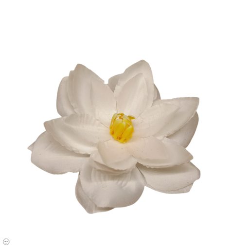 Lótusz virágfej - fehér