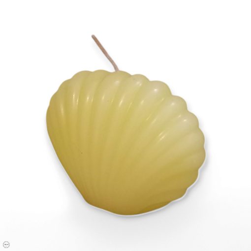 Nagy kagyló gyertya