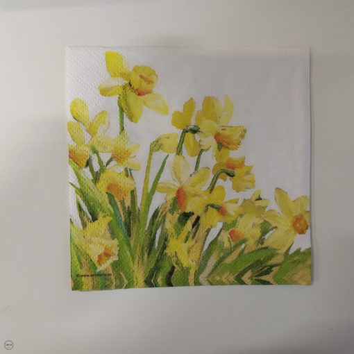 Kreatív csomag: Kispárna díszítés